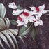 Paradise Found Men's Wild Orchid Hawaiian Shirt
